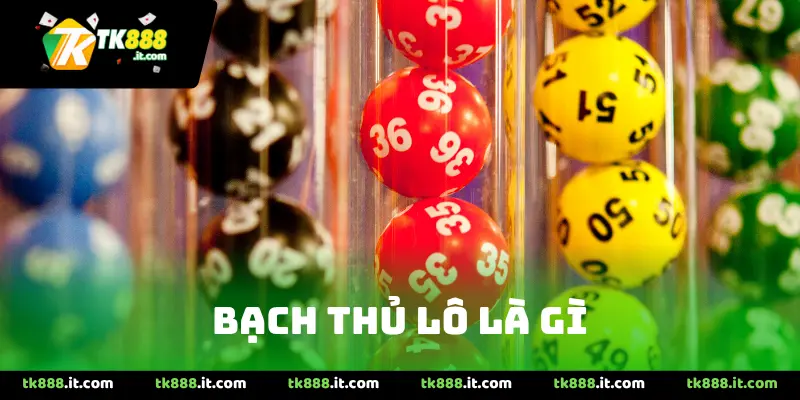 bạch thủ lô là gì